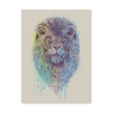 Rachel Caldwell 'Lion King Color' Canvas Art,18x24